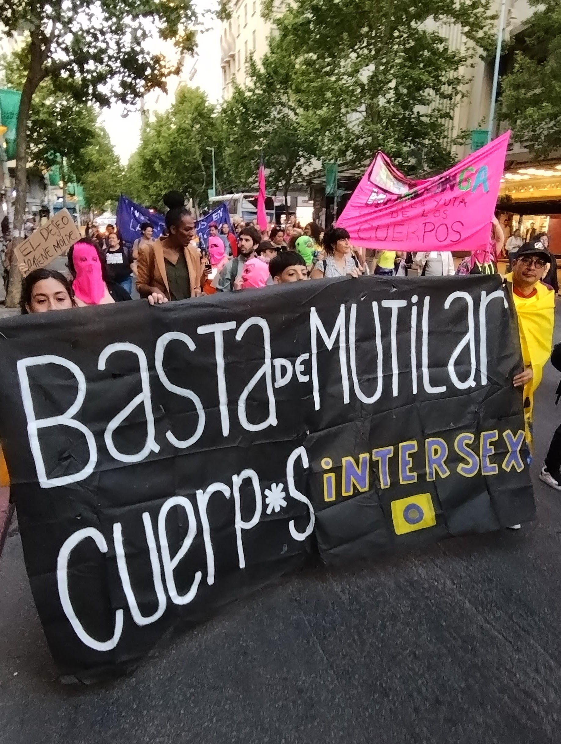 Intersex pride flag — yellow with a purple circle — displayed at a protest